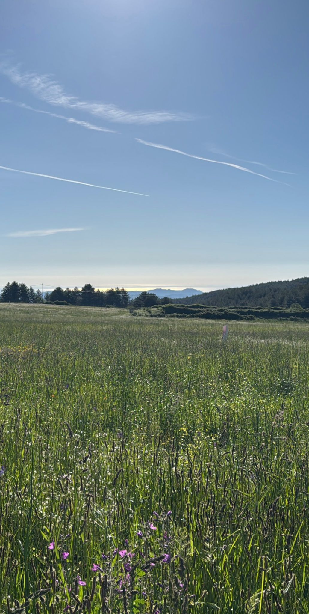 Lavorazioni agricole - Professionalità